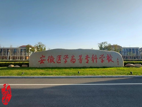 中南藥機(jī)︰安徽醫(yī)學(xué)高等?？茖W(xué)校 “1+X”藥物制劑生產(chǎn)職業(yè)技能設(shè)備安裝調(diào)試